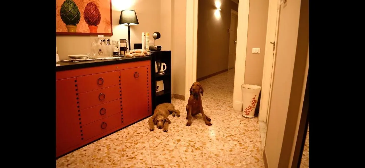 Due Cani Palermo 2*,  Italy